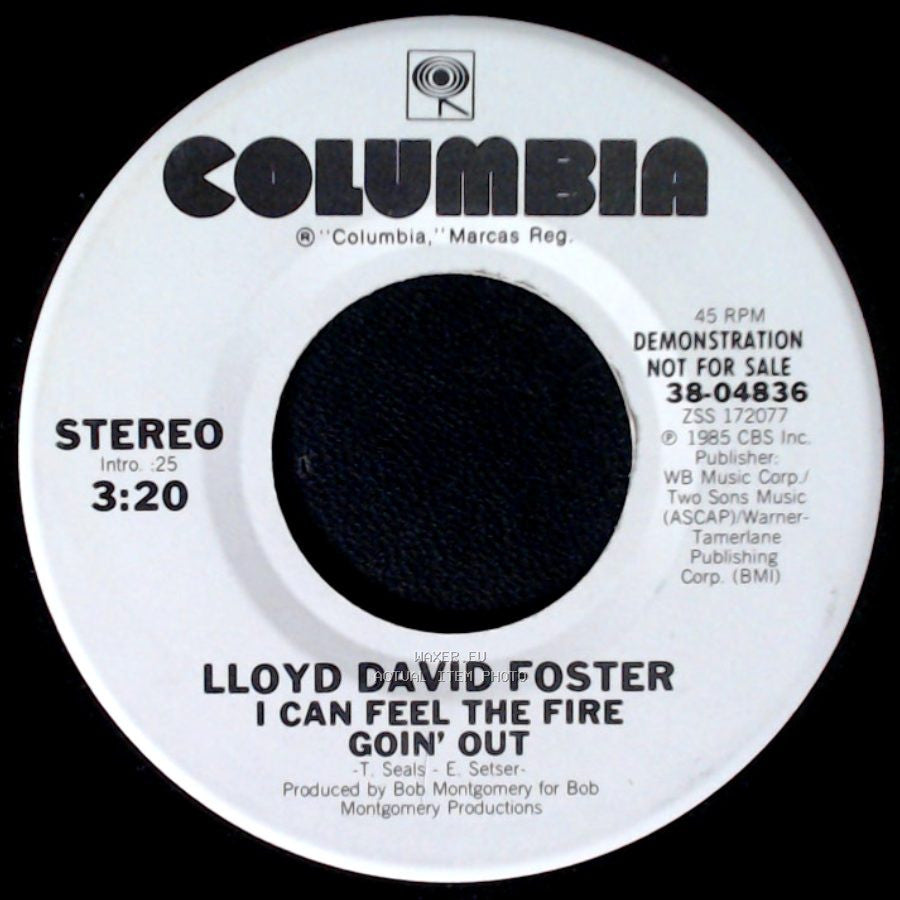 Lloyd David Foster - I Can Feel The Fire Goin' Out / I Can Feel The Fire Goin' Out side A