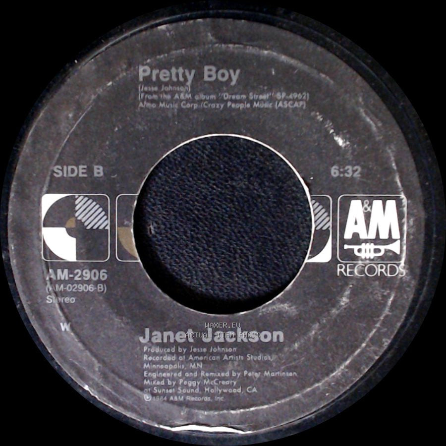 Janet Jackson - Let's Wait Awhile Remix / Pretty Boy side B