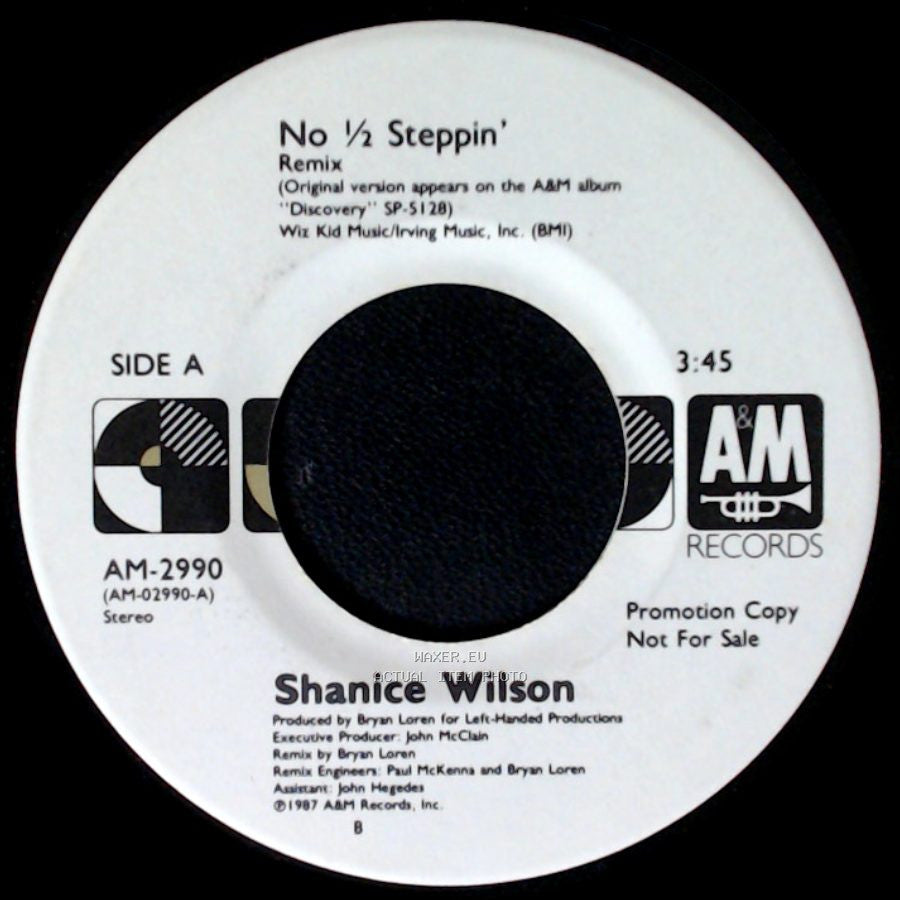 Shanice Wilson - No 1/2 Steppin' Remix / No 1/2 Steppin' Remix side B