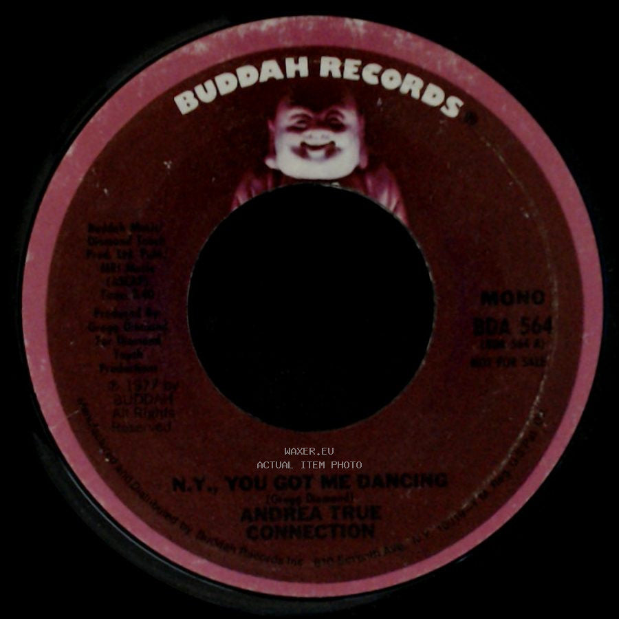 Andrea True Connection - N.Y., You Got Me Dancing / N.Y., You Got Me Dancing side A