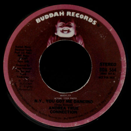 Andrea True Connection - N.Y., You Got Me Dancing / N.Y., You Got Me Dancing side B
