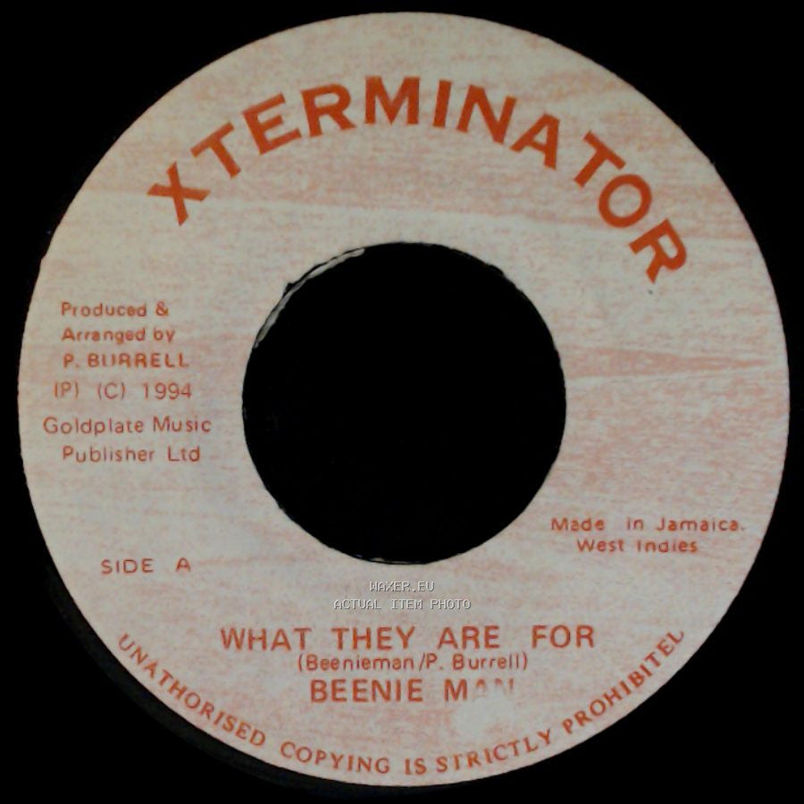 Beenie Man - What They Are For / Unknown Title B side A