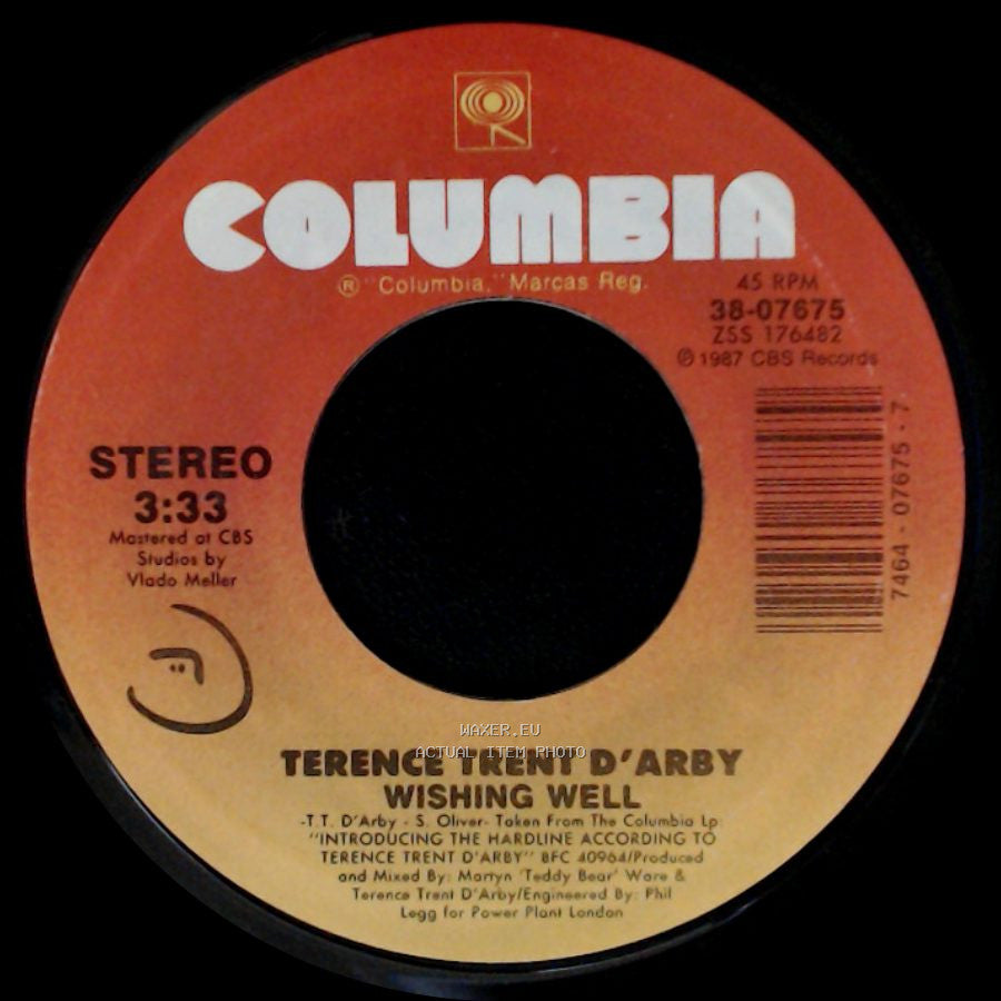 Terence Trent D'arby - Wishing Well / Elevators & Hearts side A