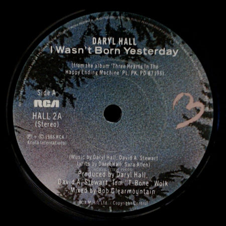 Daryl Hall - I Wasn't Born Yesterday / What's Gonna Happen To Us side A