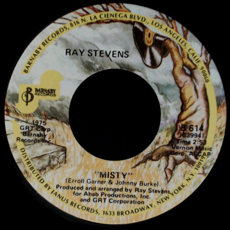 Ray Stevens - Sunshine / Misty side B