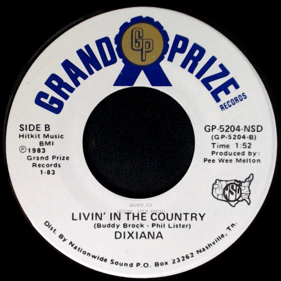 Dixiana - Bein' Here With You / Livin' In The Country side B