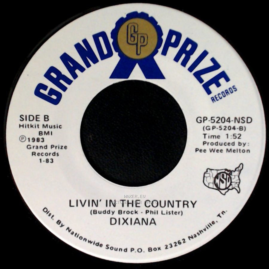 Dixiana - Bein' Here With You / Livin' In The Country side B