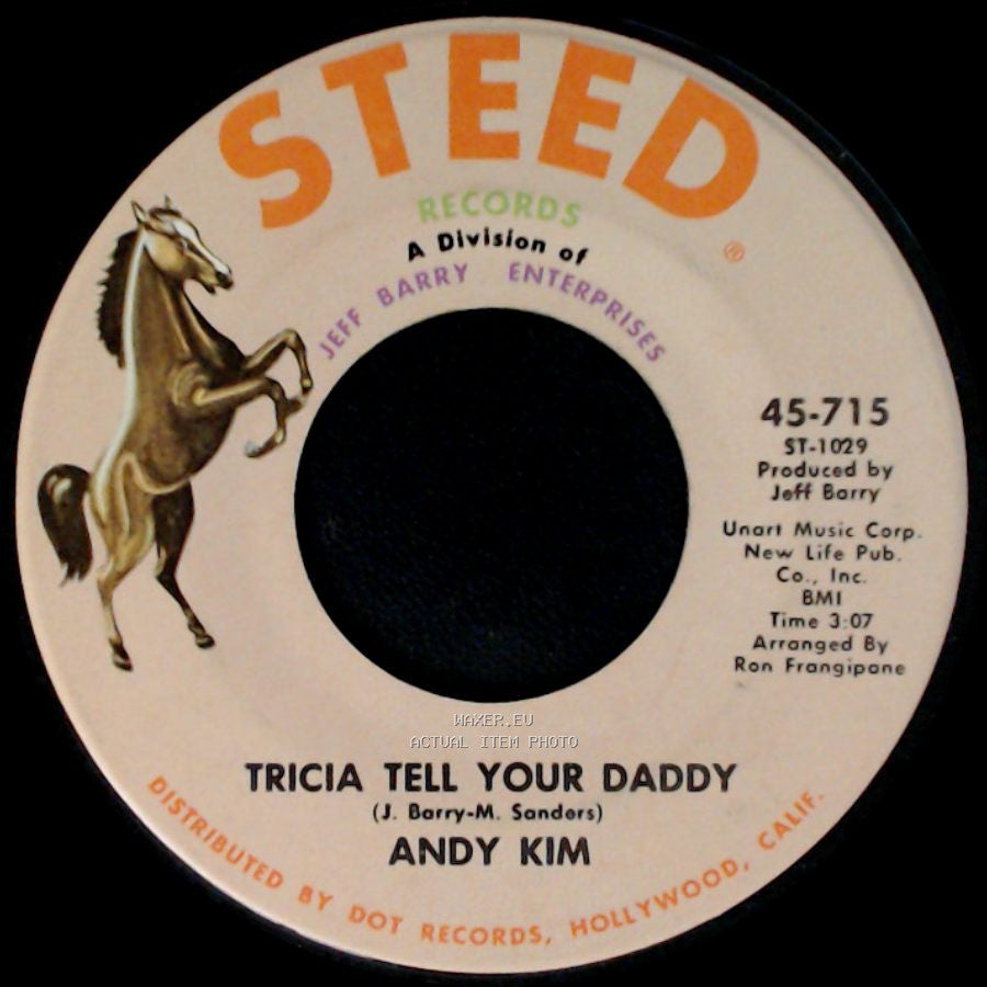 Andy Kim - Foundation Of My Soul / Tricia Tell Your Daddy side B