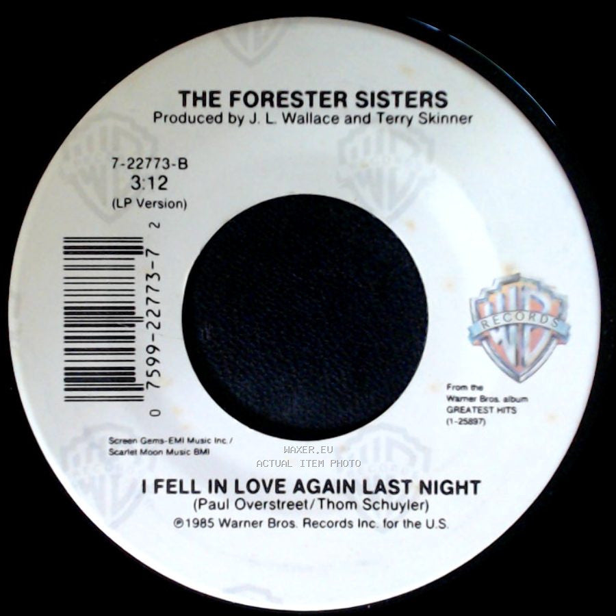 The Forester Sisters - Leave It Alone / I Fell In Love Again Last Night side B