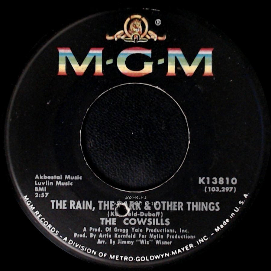 The Cowsills - The Rain, The Park & Other Things / River Blue side A
