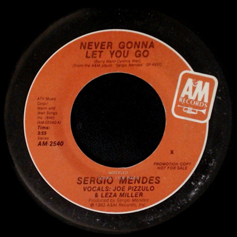 Sergio Mendes - Never Gonna Let You Go / Never Gonna Let You Go side B