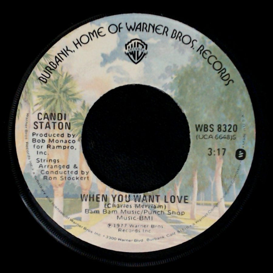 Candi Staton - A Dreamer Of A Dream / When You Want Love side B