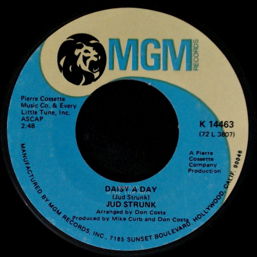 Jud Strunk - The Searchers / Daisy A Day side B