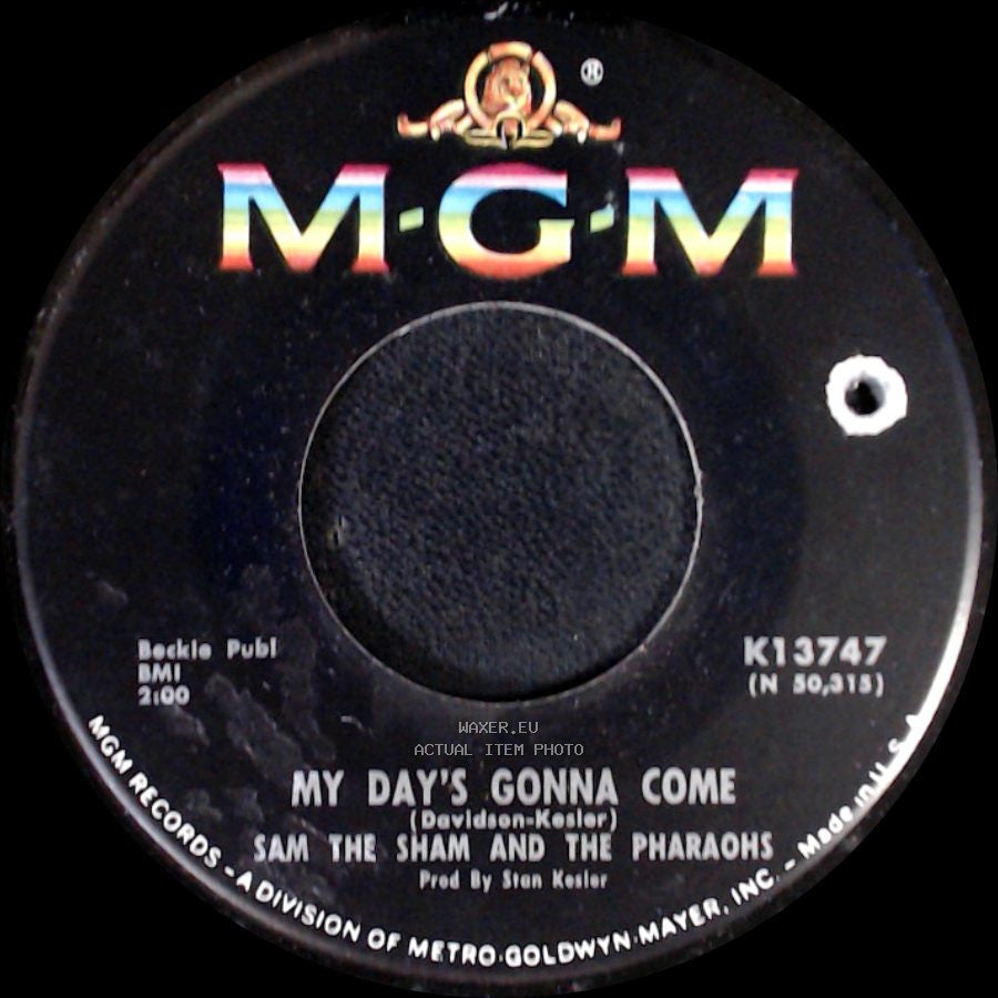 Sam The Sham And The Pharaohs - My Day's Gonna Come / Black Sheep side A
