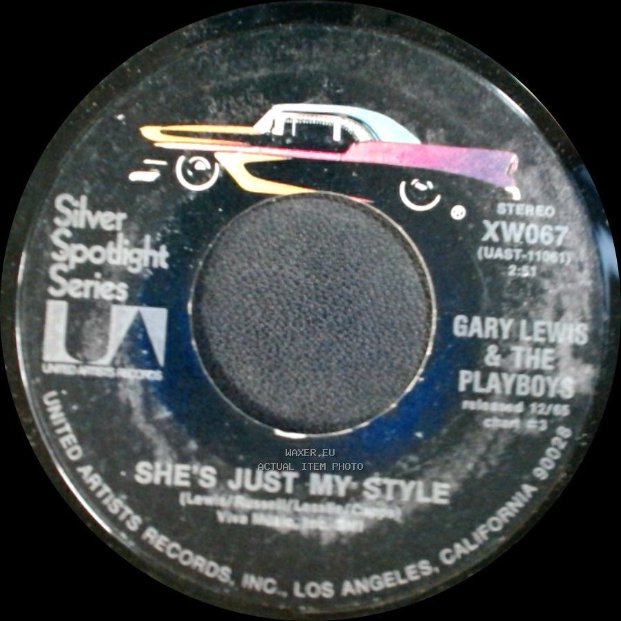 Gary Lewis & The Playboys - She's Just My Style / Green Grass side A