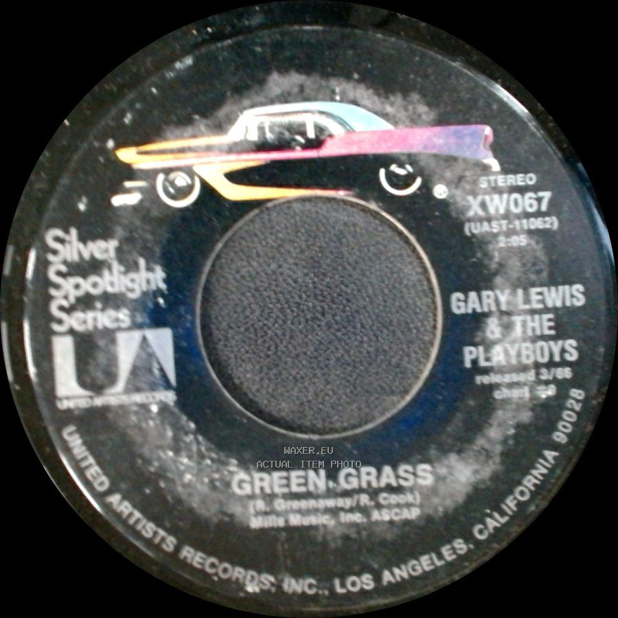 Gary Lewis & The Playboys - She's Just My Style / Green Grass side B