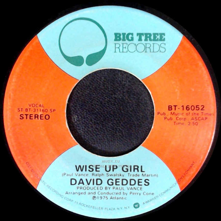 David Geddes - The Last Game Of The Season (A Blind Man In The Bleachers) / Wise Up Girl side B