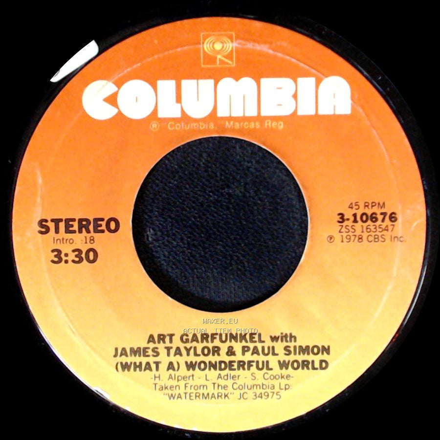 Art Garfunkel With James Taylor & Paul Simon / Art Garfunkel - (What A) Wonderful World / Wooden Planes side A