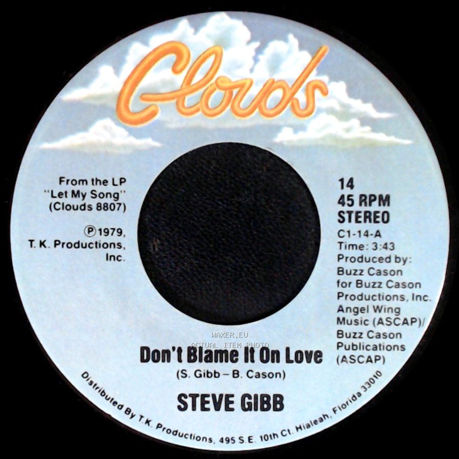Steve Gibb - Don't Blame It On Love / Whiskey Dreams & Nursery Rhymes side A