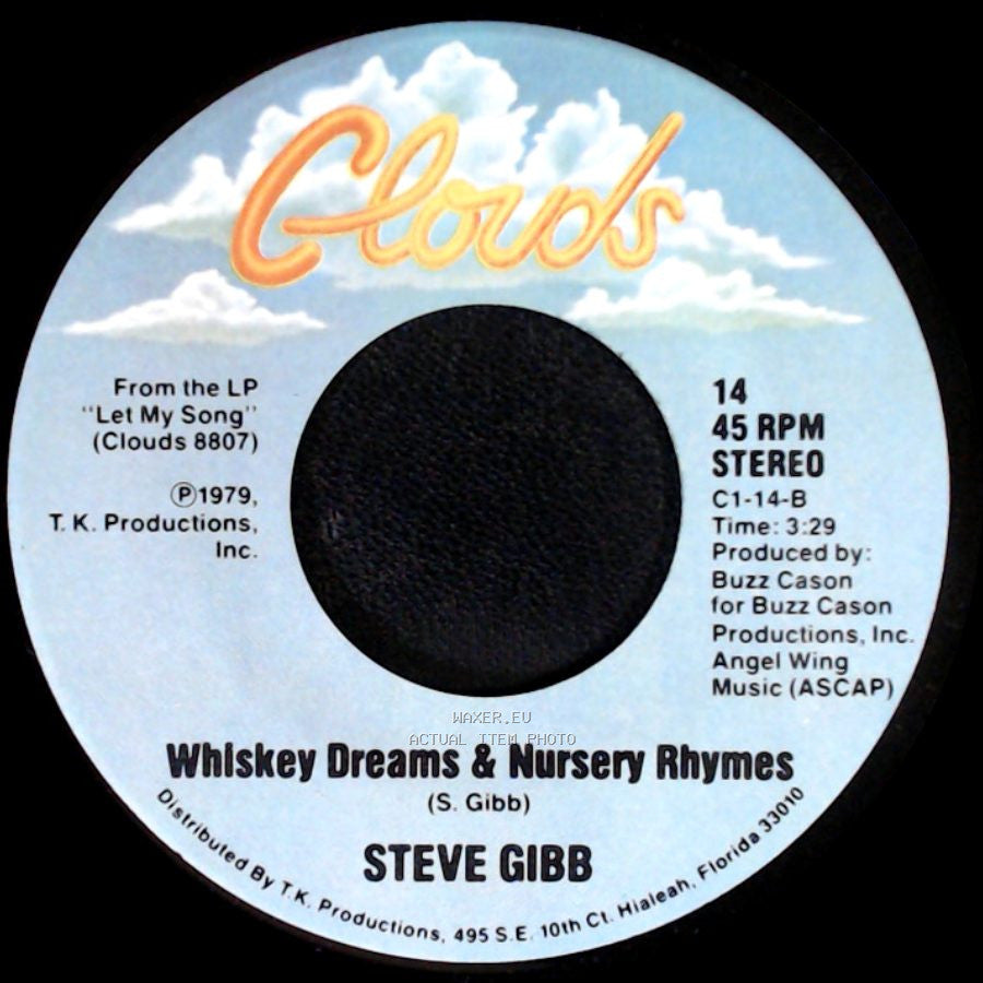 Steve Gibb - Don't Blame It On Love / Whiskey Dreams & Nursery Rhymes side B