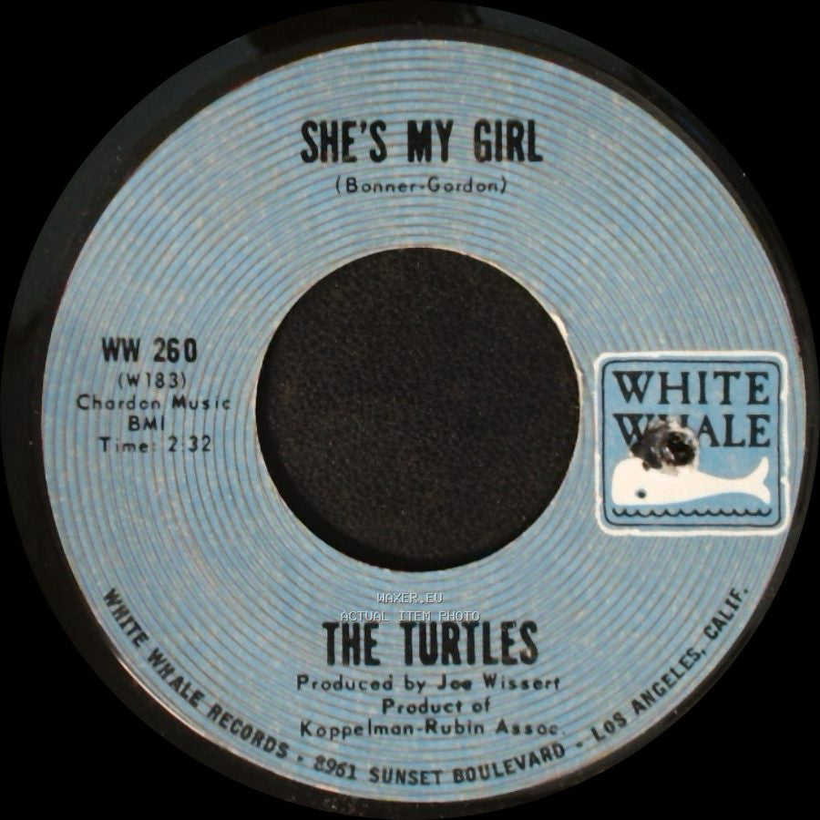 The Turtles - Chicken Little Was Right / She's My Girl side B