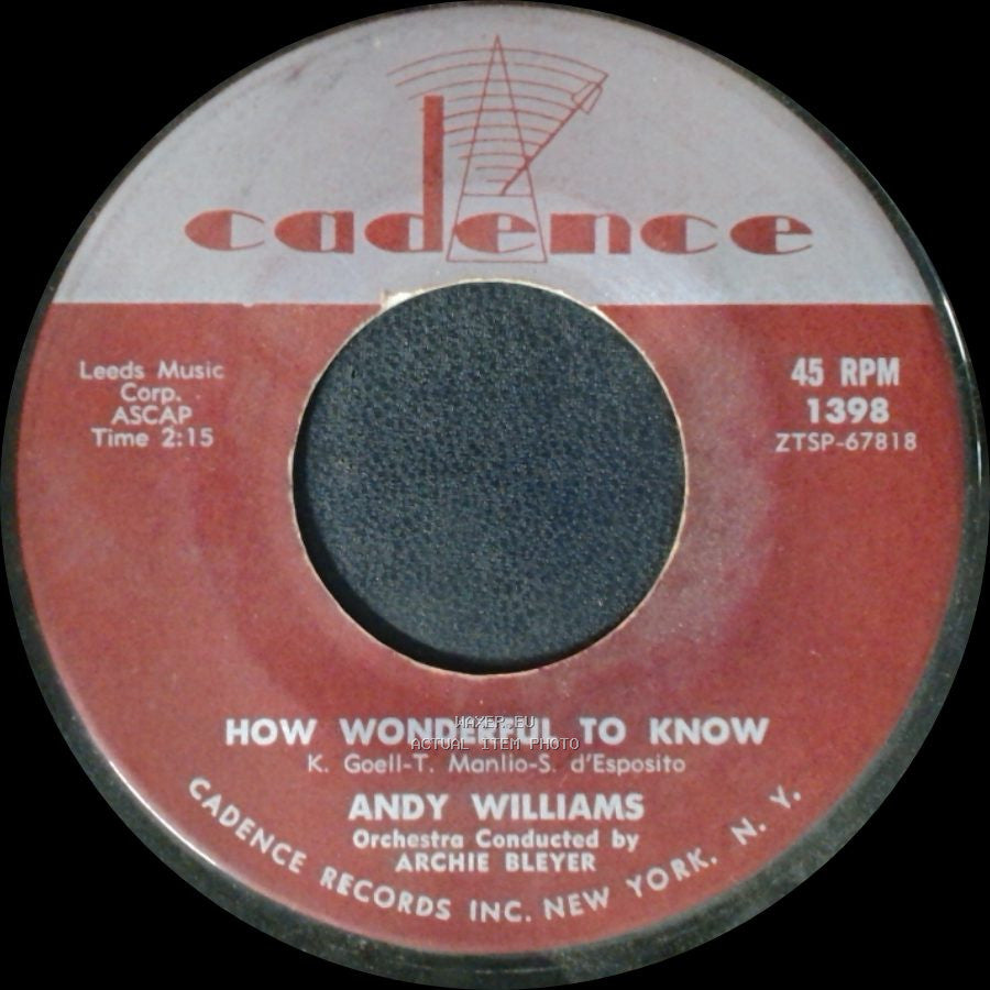 Andy Williams - The Bilbao Song / How Wonderful To Know side B